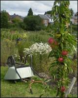 allotment